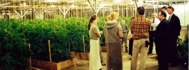 The author, other IBLP staff members and directors, and Bill Gothard in the Indianapolis South Campus green house