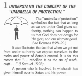  Basic Seminar Followup Course How To Get Under God's Protection: The Principle of Authority, page 4